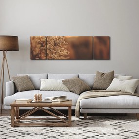 Obraz kwitnącej trawy (170x50 cm)