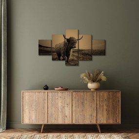 Obraz - Szkocka krowa na wolności (125x70 cm)