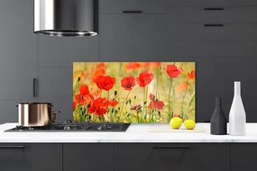 Szkło do Kuchni na Ścianę Polne Maki w Rozkwicie