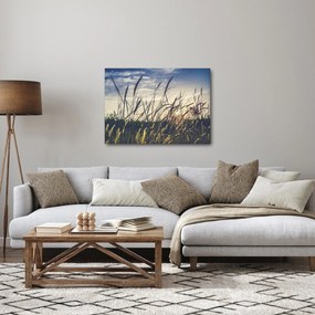 Obraz kwiatów łąkowych (70x50 cm)
