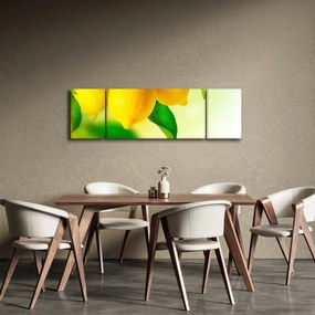 Obraz cytryn (170x50 cm)