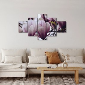 Obraz - Magnolia (125x70 cm)
