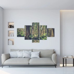 Obraz ścieżki pomiędzy drzewami (125x70 cm)