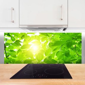 Szkło do Kuchni na Ścianę Słońce W Koronach Drzew