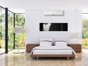 Obraz - Czarno - biały portret kobiety w kapeluszu (170x50 cm)