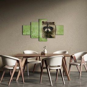 Obraz szopa pracza (125x70 cm)