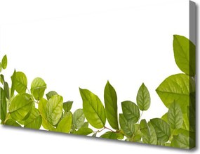 Obraz canvas Organiczna Tekstura Liści