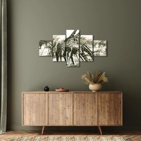 Obraz - Żyrafy, vintage (125x70 cm)
