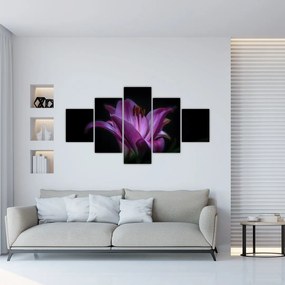 Obraz lilii (125x70 cm)