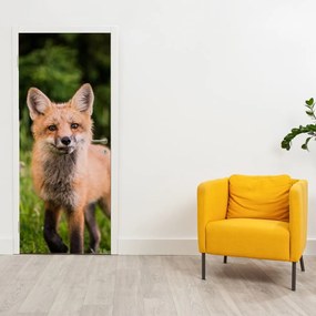 Fototapeta na drzwi - Lis (95x205cm)