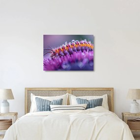 Obraz na szkle - Caterpillar (70x50 cm)