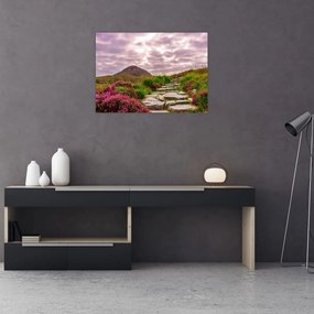 Obraz na szkle krajobrazu (70x50 cm)