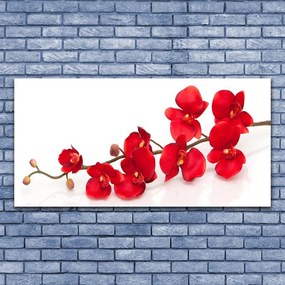 Zdjęcie na płótnie Klasyczny Motyw Botaniczny