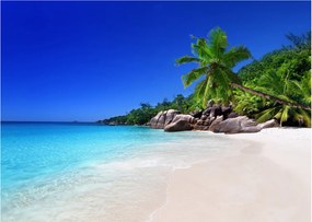 Obraz na szkle - plaża na wyspie Praslin (70x50 cm)