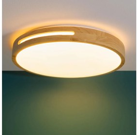 Brilliant - LED Plafon ściemnialny WOODBURY LED/24W/230V śr. 39 cm