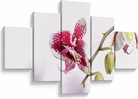 Obraz kwiatu orchidei (125x70 cm)