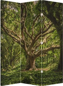 Parawan - Drzewo (126x170 cm)