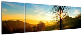 Obraz wschodu słońca (170x50 cm)