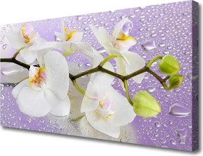 Obraz canvas Pełnia Kwiatowego Rozkwitu