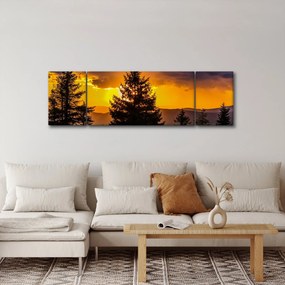 Obraz - drzewa iglaste (170x50 cm)