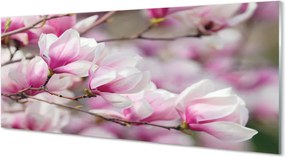 Panel Kuchenny Szklany Białe Kwiaty na Drzewach