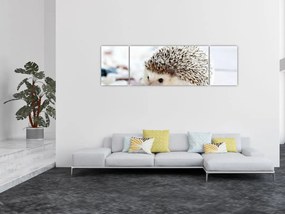 Obraz jeża (170x50 cm)