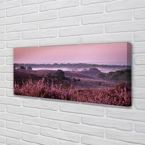 Obraz drukowany na płótnie Pole Wrzosów