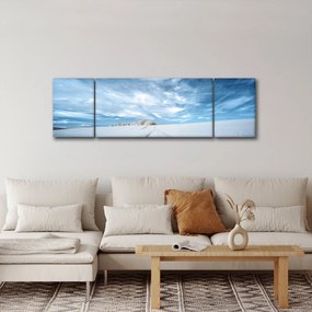Obraz pola (170x50 cm)