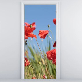 Fototapeta na drzwi - Maki (95x205cm)