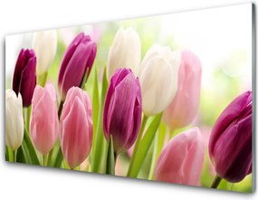 Panel Szklany Barwny Dywan Tulipanów