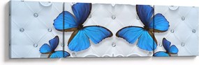 Obraz - Niebieskie motyle (170x50 cm)