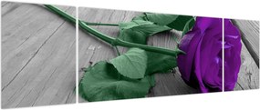 Obraz - Fioletowa róża z zieloną łodygą (170x50 cm)