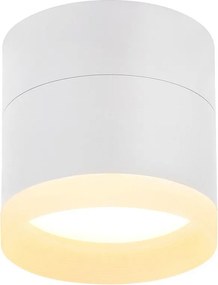 NETTLIFE LED Spot montowany na powierzchni Okrągły Spot sufitowy Biały 5W Spot montowany na powierzchni Mały akrylowy