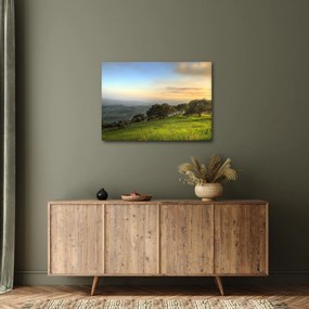 Obraz - Widok ze wzgórza (70x50 cm)