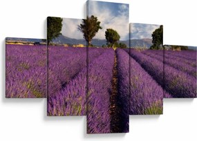 Obraz - Pole lawendy i góry (125x70 cm)