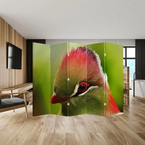 Parawan - Kolorowy ptak (210x170 cm)