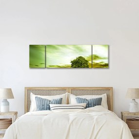 Obraz - Drzewo życia (170x50 cm)