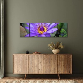 Obraz - Fioletowy kwiat (170x50 cm)