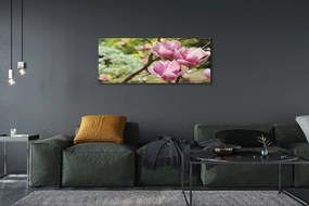 Obraz canvas na ścianę Drzewa Magnolii