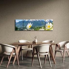 Obraz - Wiosna w Alpach (170x50 cm)
