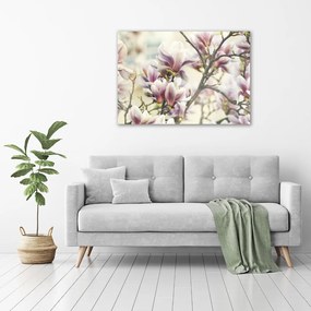 Foto obraz szkło hartowane Magnolia
