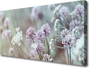 Obraz canvas Rozkwit Polnej Polany