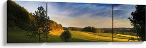 Obraz - Górska łąka (170x50 cm)