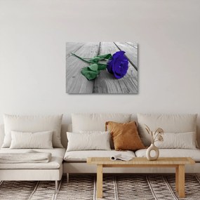 Obraz na szkle - Niebieska róża z zieloną łodygą (70x50 cm)
