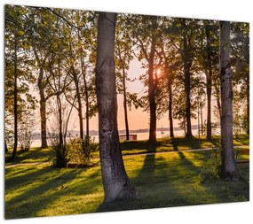 Obraz na szkle - drzewa nad jeziorem (70x50 cm)