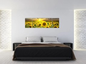 Obraz - Słoneczniki o zachodzie słońca (170x50 cm)