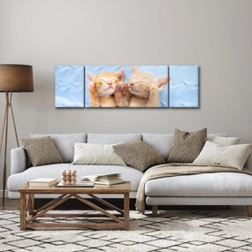 Obraz - Śpiące kocięta (170x50 cm)