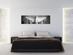 Obraz - Samolot (170x50 cm)