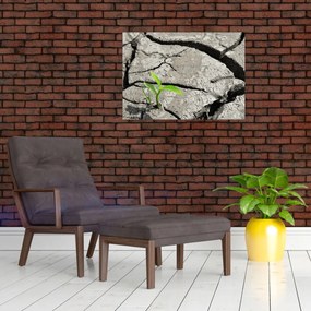 Obraz - Pęknięcia (70x50 cm)