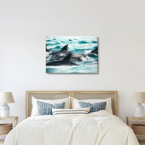 Obraz - Delfiny w oceanie (70x50 cm)